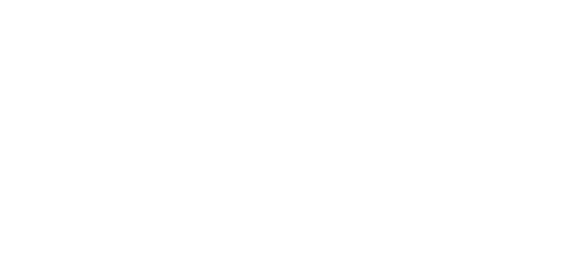 The Wild Bunch