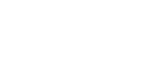 The Wild Bunch